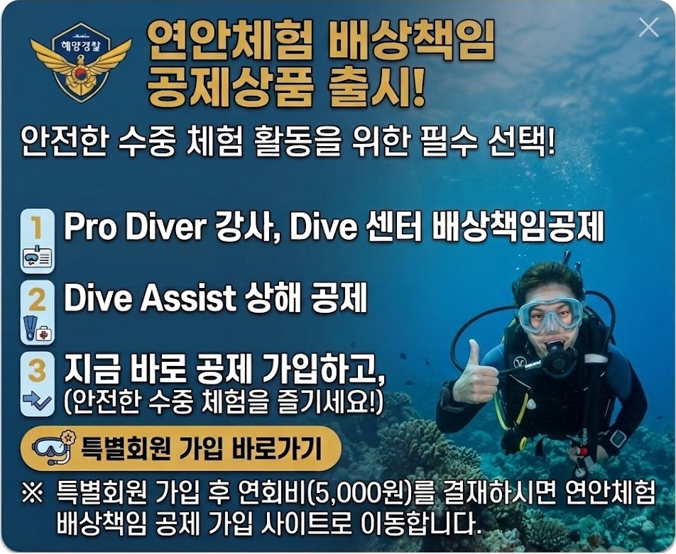 안내